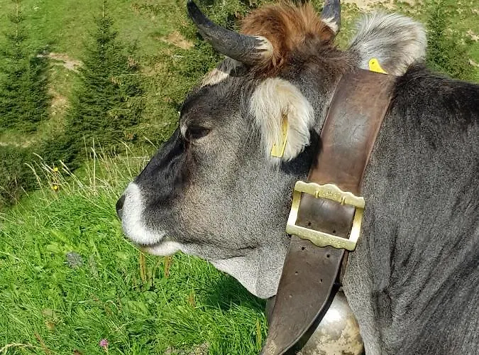 Sonthofenersee Blaichach